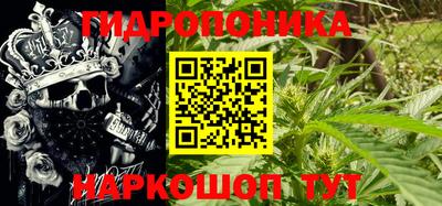 ГАЛЛЮЦИНОГЕННЫЕ ГРИБЫ Будённовск