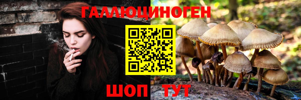 Галлюциногенные грибы Magic Shrooms Новошахтинск